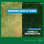 Düngeeffekt mit Rasendünger für den Vorfrühling Mr. Green Grass
