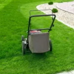Rasenschnitt im Vorfrühling