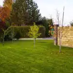 Rasen im Herbst