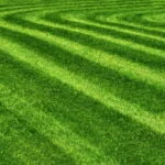 Rasen nach dem Mähen im April