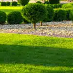 Rasen in der Sommersonne